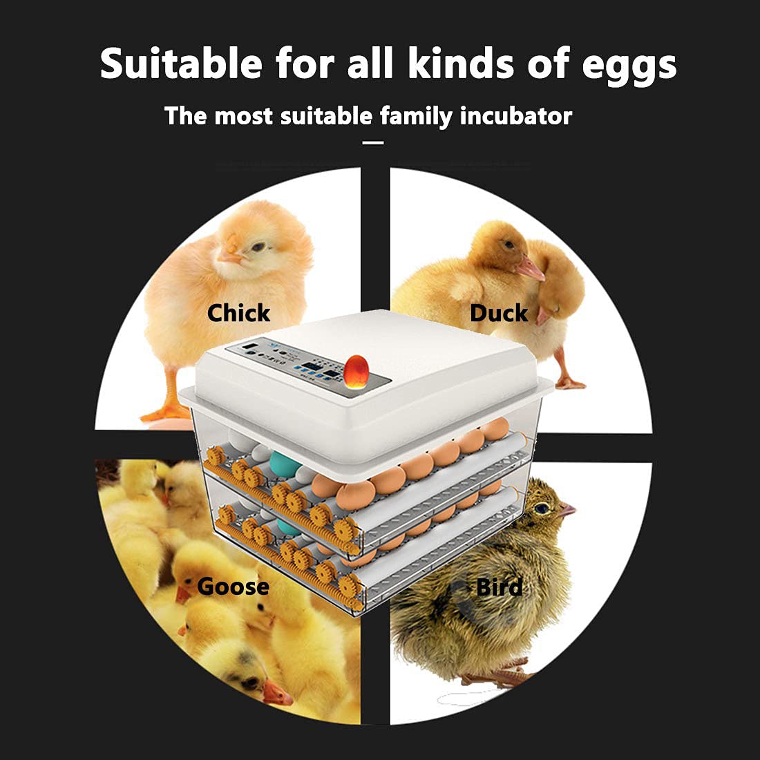170 Egg Incubator with Automatic Egg Turning and Temperature Humidity Control J456