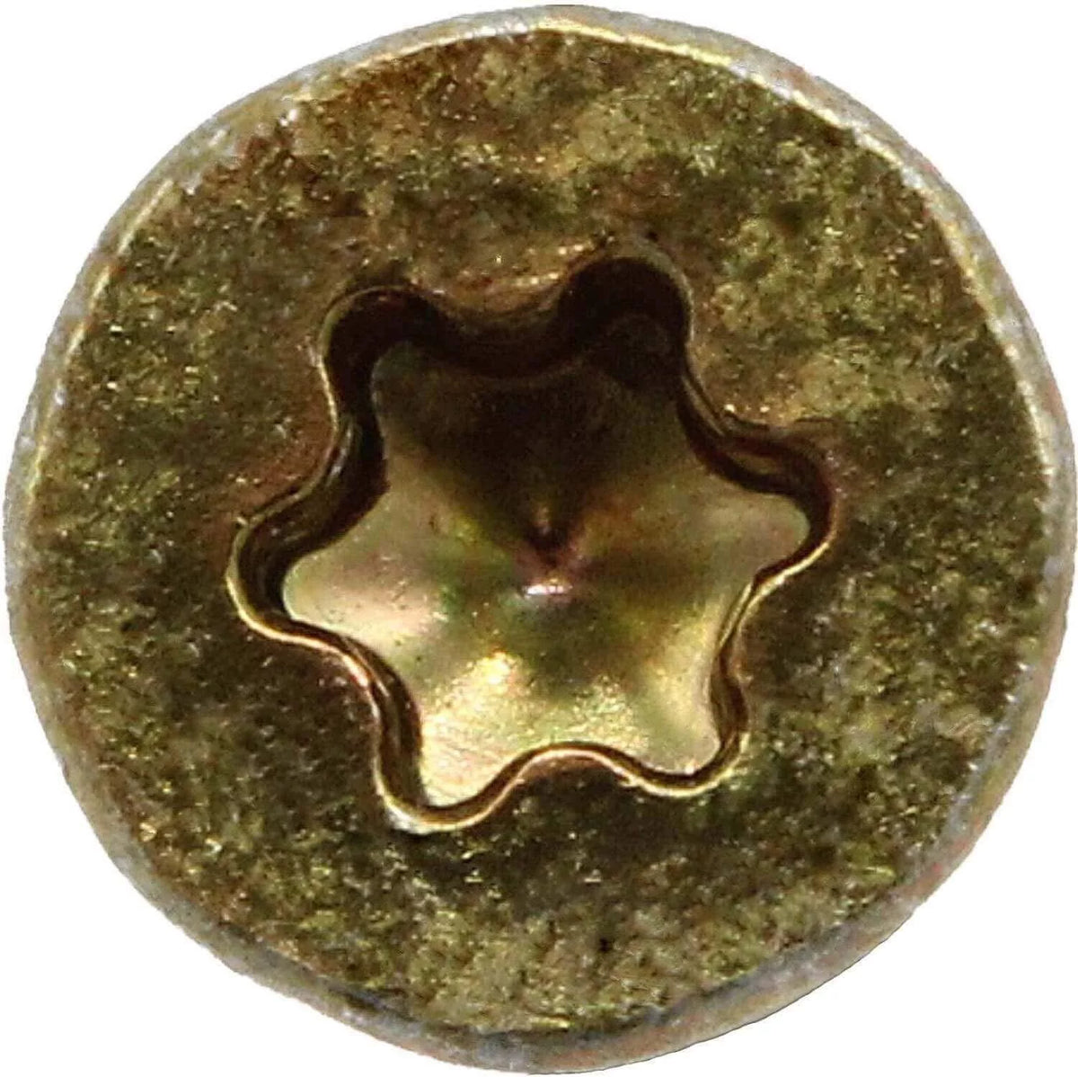 2" Gold Star Wood Torx/Star Drive Head J5095