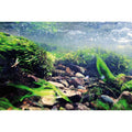 Aquarium Background I393424