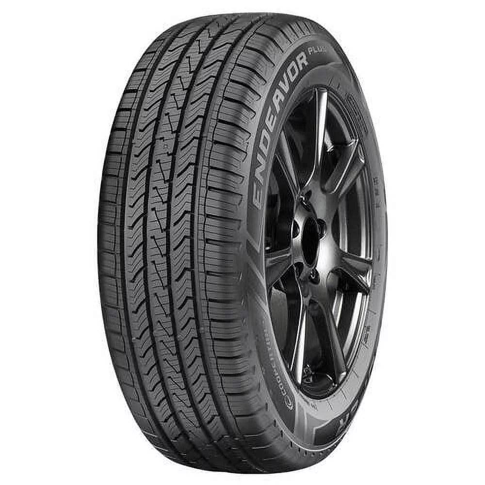 245/55R19XL 107H BSW Tires P2910