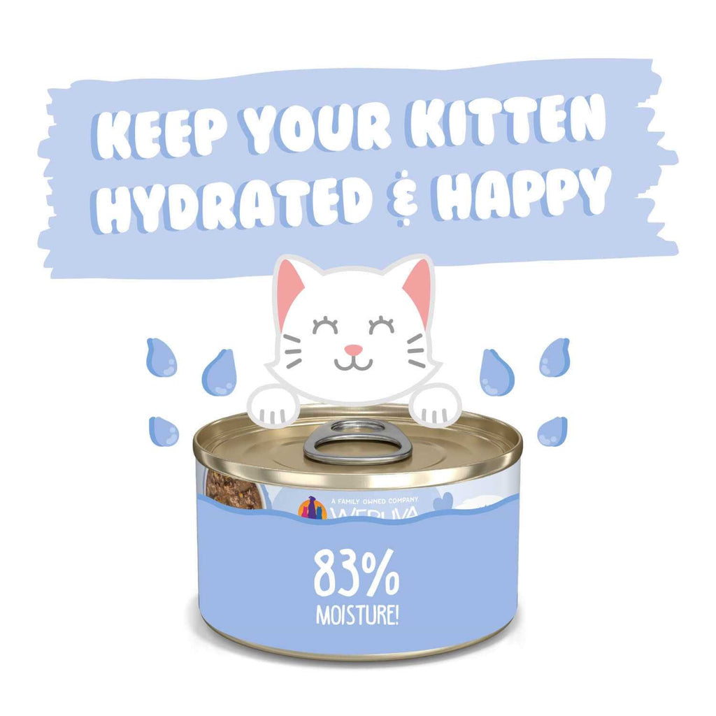 Chicken & Tuna Formula in Gravy Wet Cat Food V1733