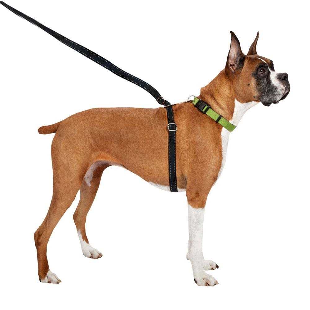 Retractable Dog Leash K264