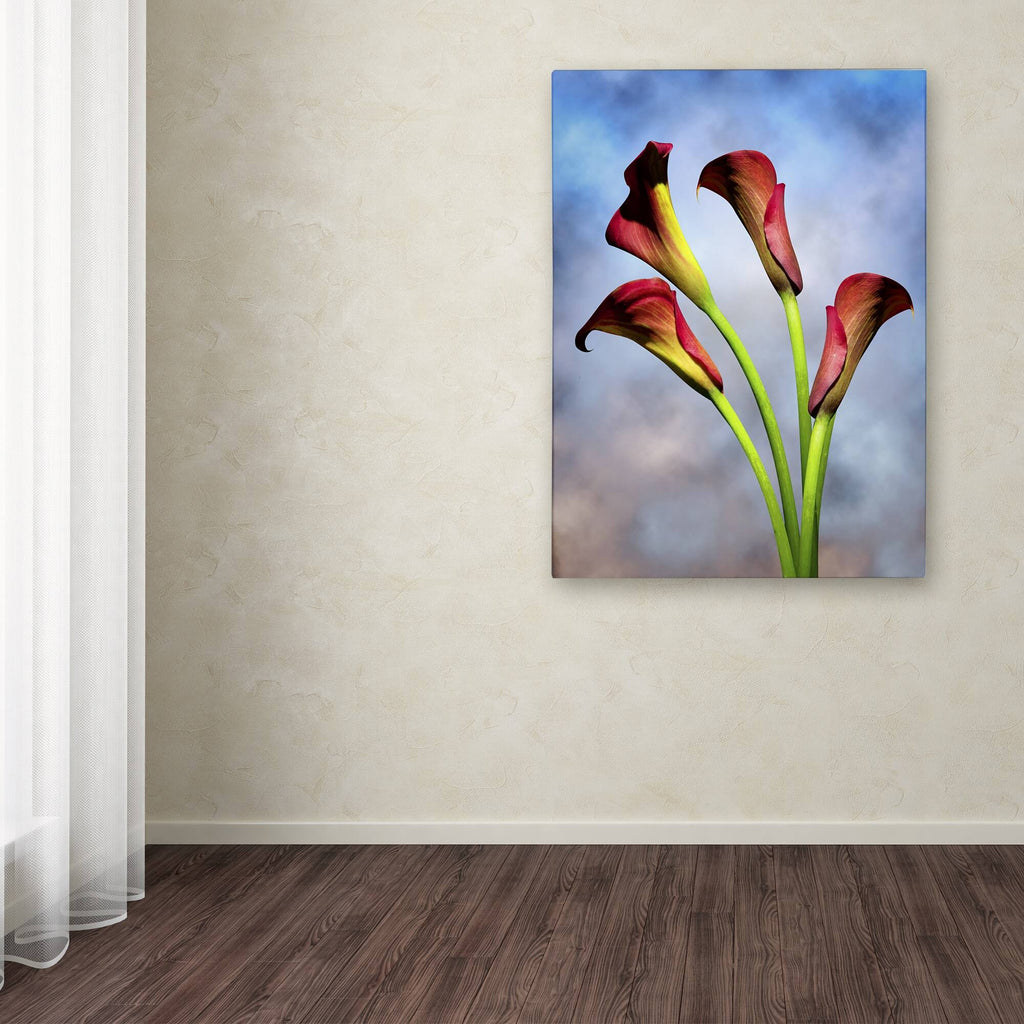 Canvas M182