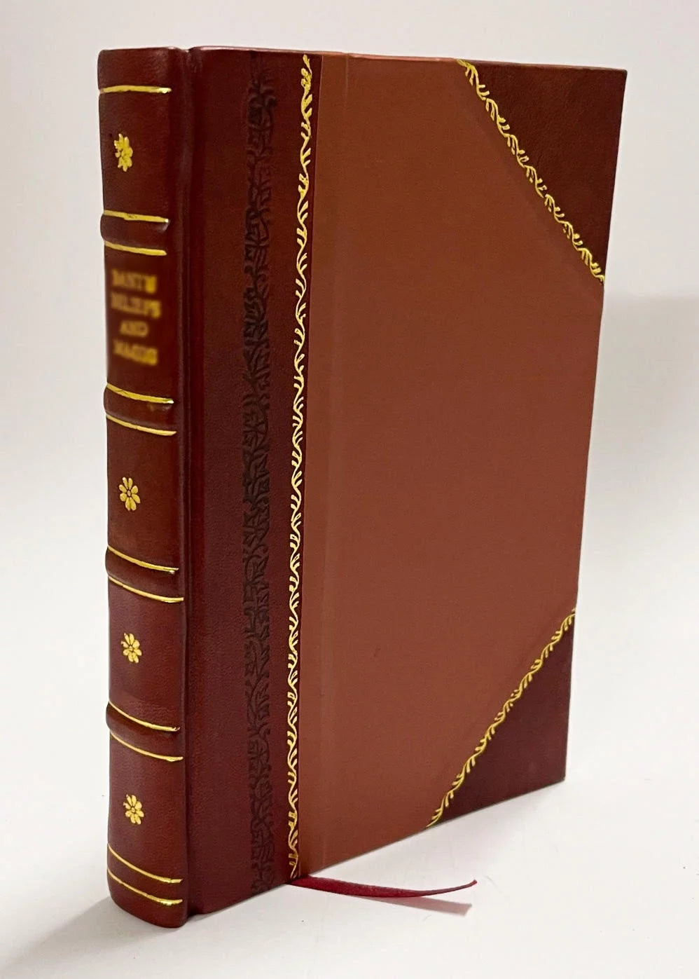 Leather Bound Book O443