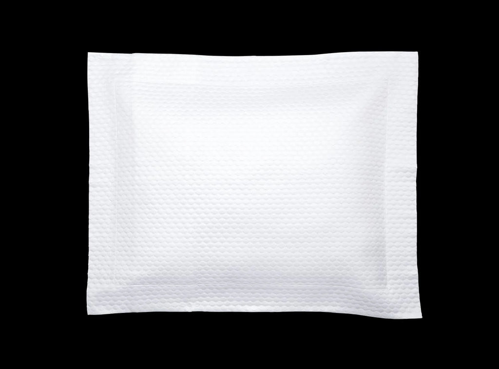 White Euro Sham B71310