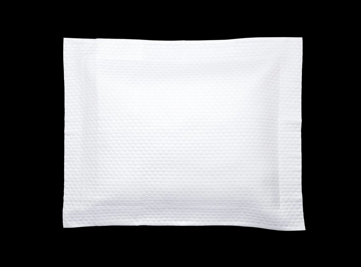 White Euro Sham B71310