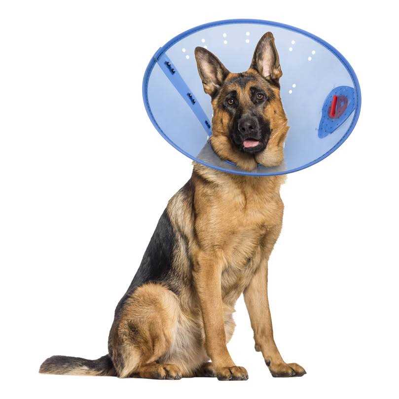 Calming Dog E-Collar H626