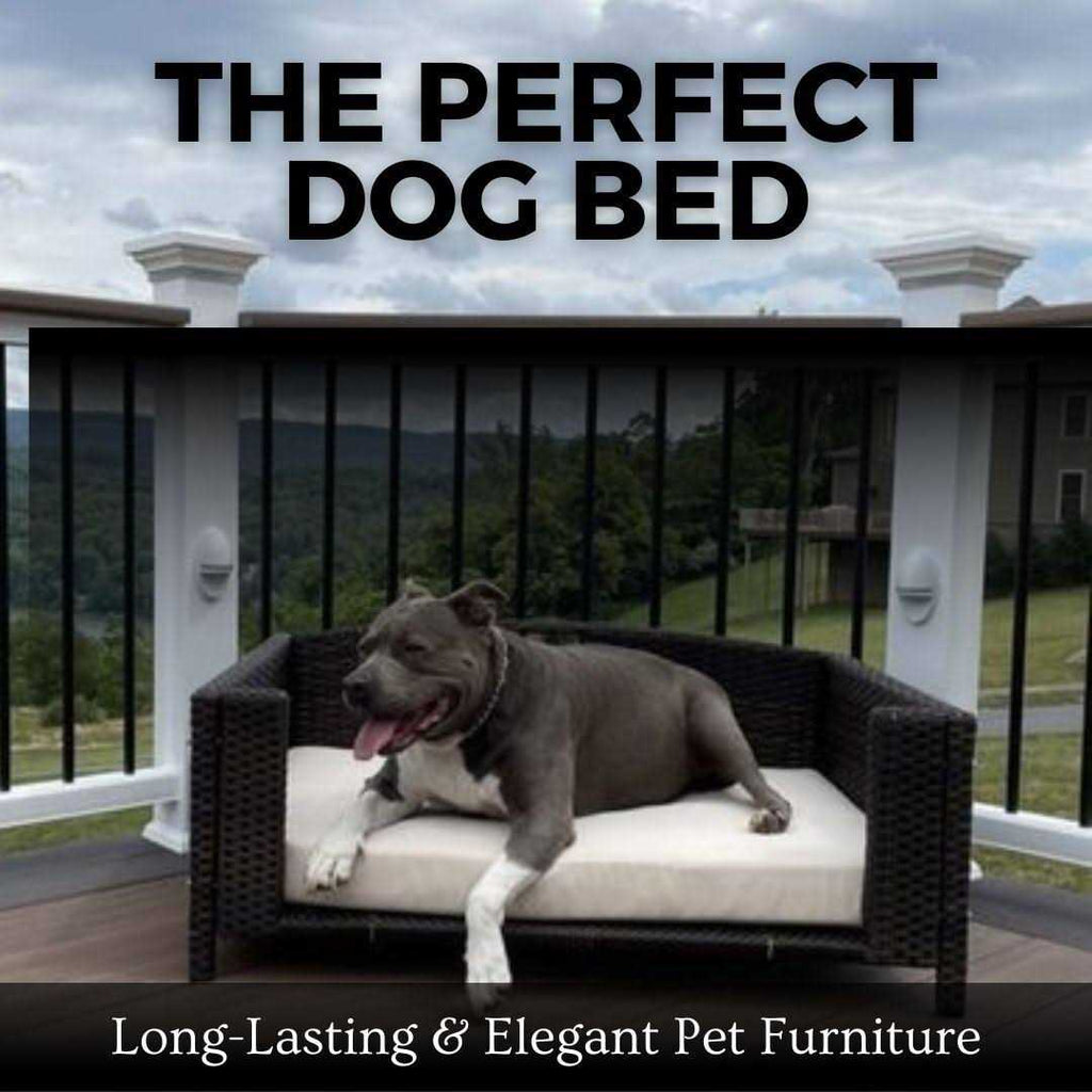Rattan Rectangular Pet Sofa S530242