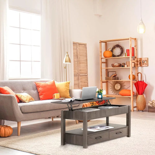 2 Drawer Lift Top Coffee Table with Hidden Compartment Gray Z613377