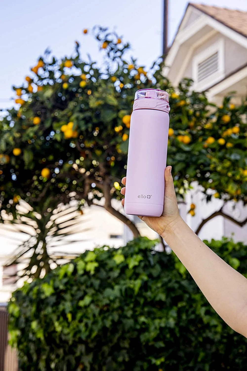 Purple Stainless Steel Water Bottle M284