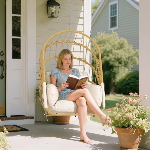 Hanging Egg Chair with Cushion T223