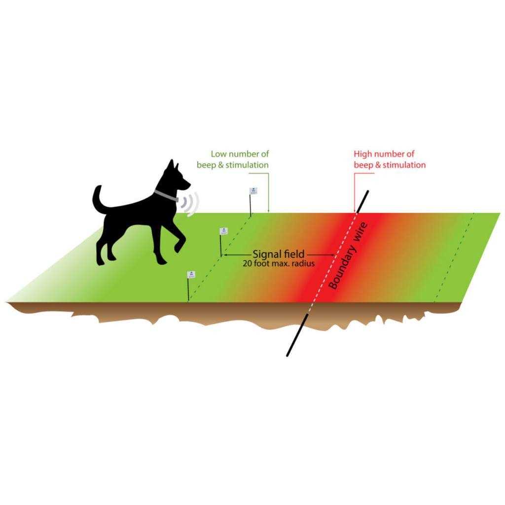 Electronic Dog Fence System E416921
