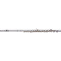 Student Flute H5952