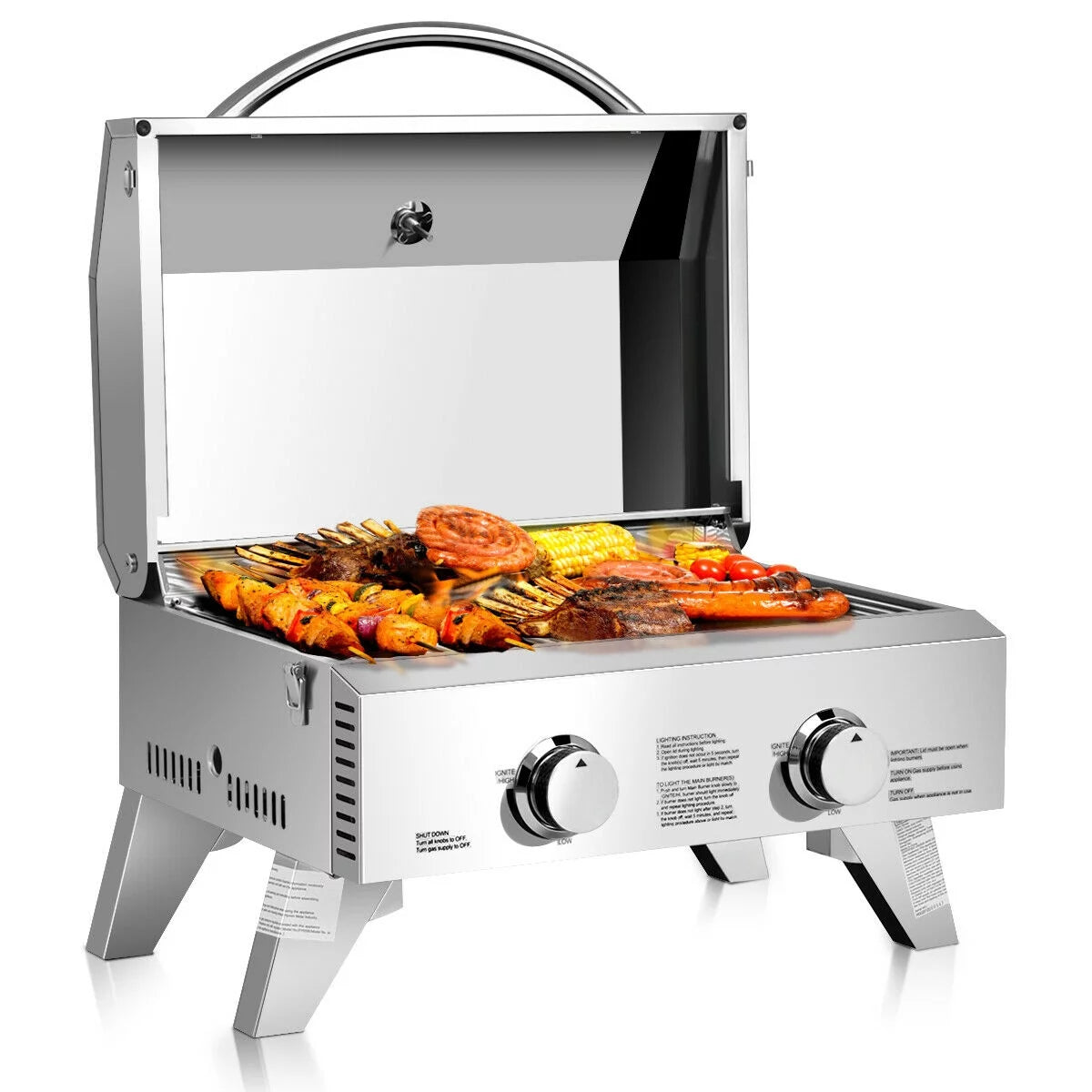 2 Burner Portable Propane Gas Grill Stainless Steel E6072