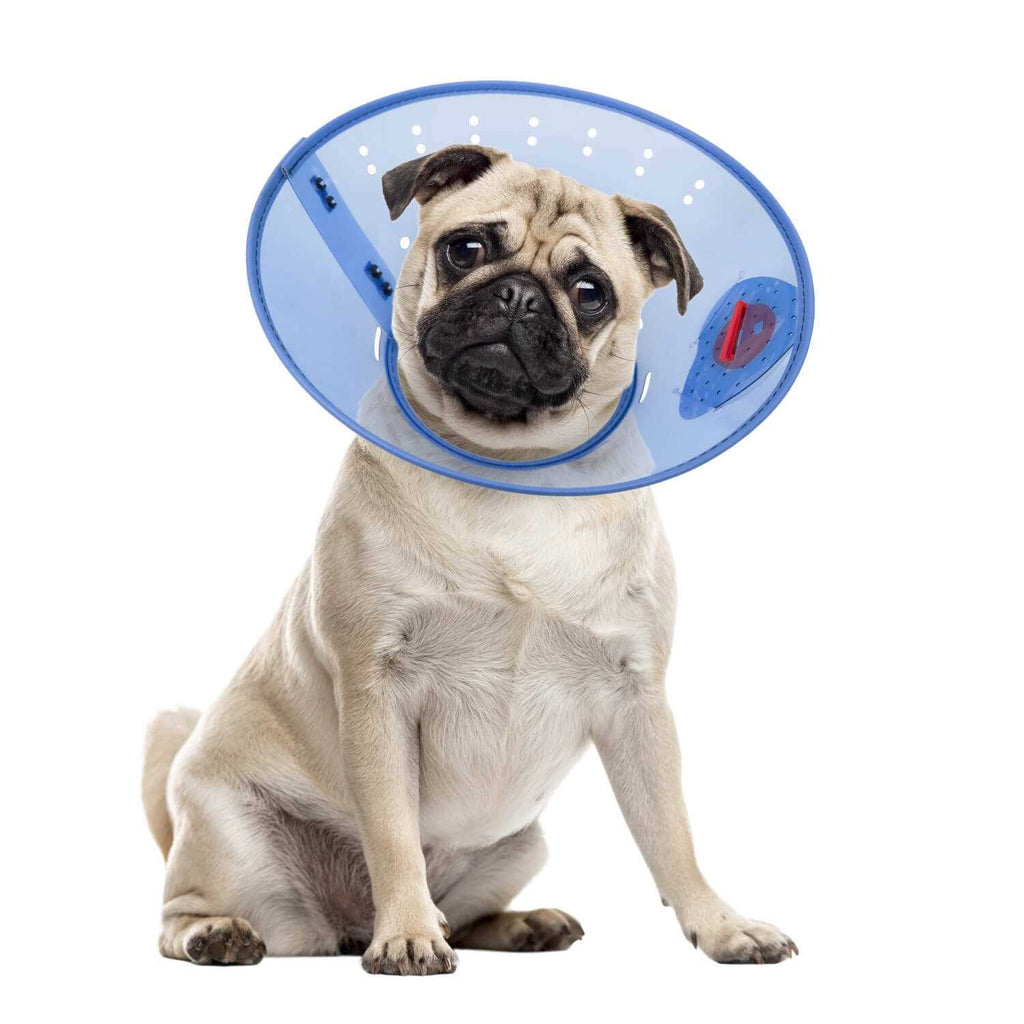 Calming Dog E-Collar H626
