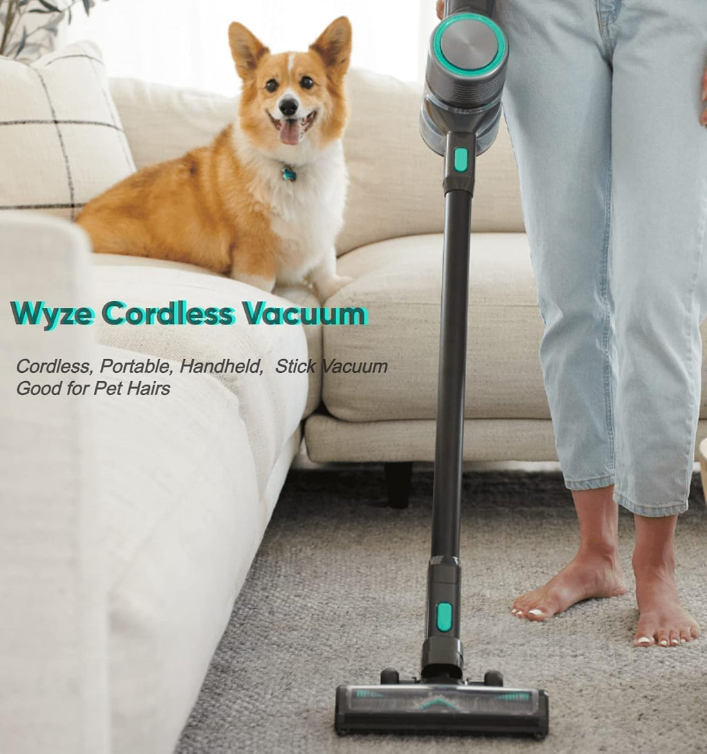 Cordless Vacuum and Handheld Vacuum Q5451