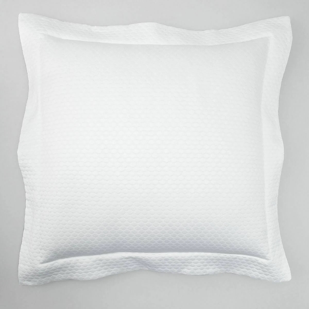 White Euro Sham B71310
