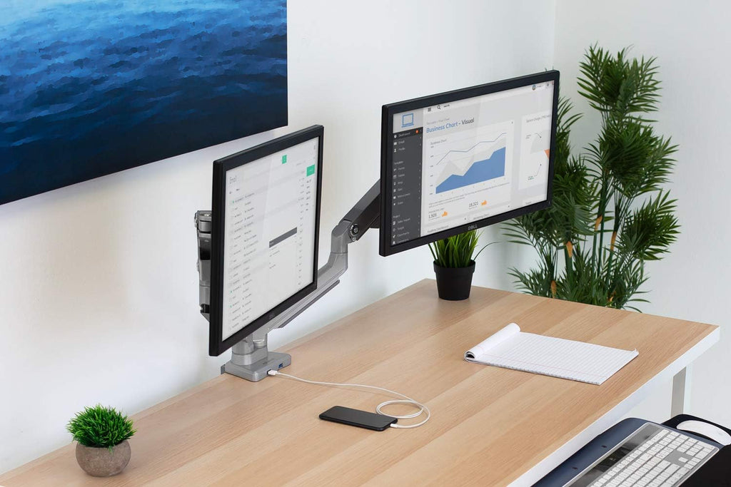 Dual Monitor Arm Mount Desk Stand with USB Ports F483422