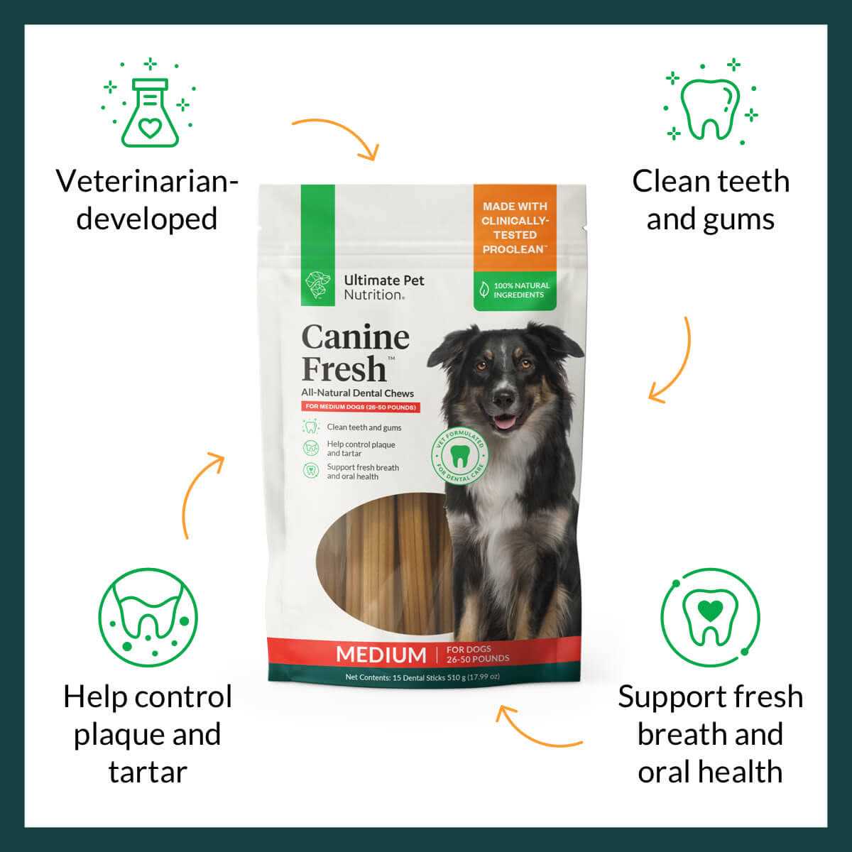 All Natural Canine Dental Chews Sticks V653153