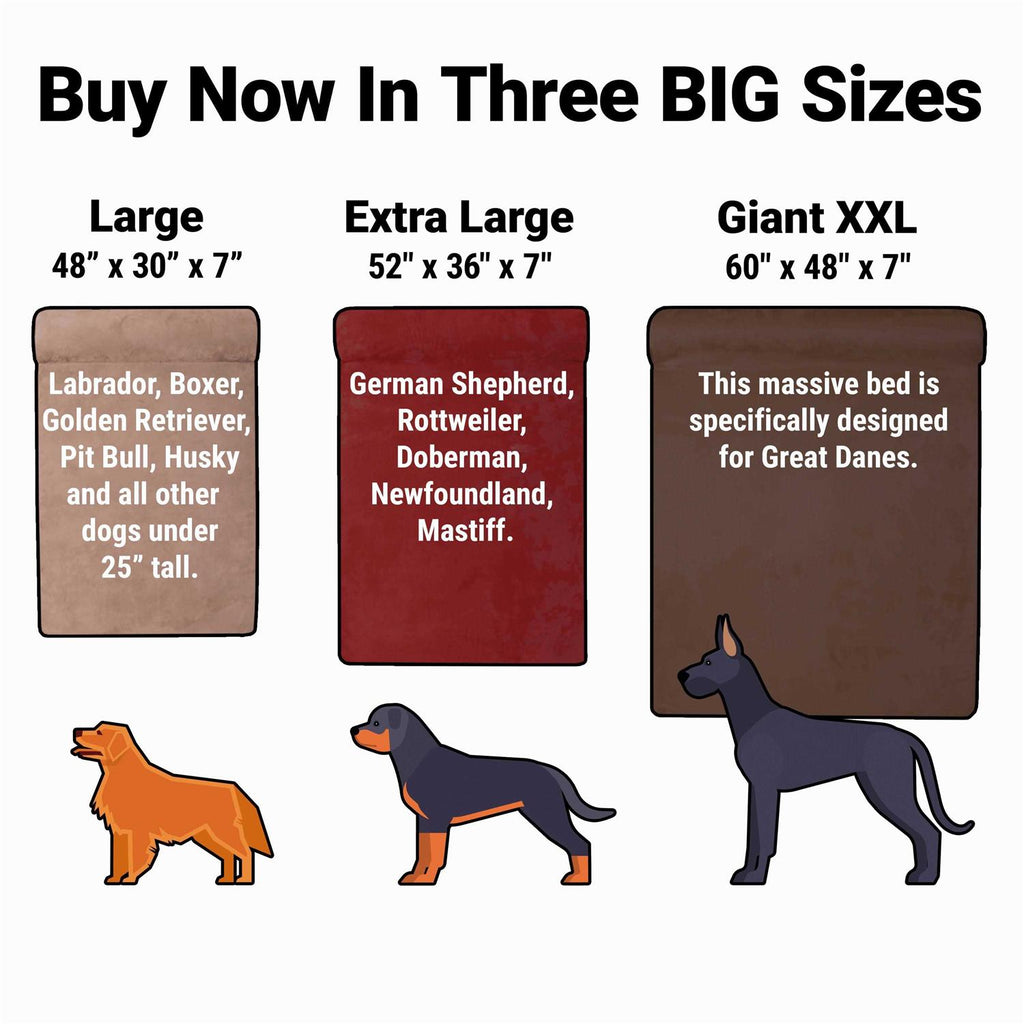 Orthopedic Dog Bed Q491483