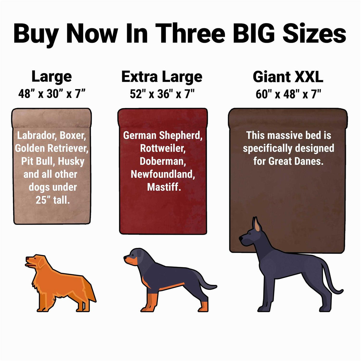 Orthopedic Dog Bed Q491483