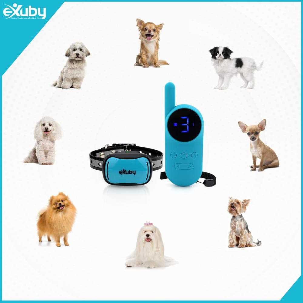 Tiny Shock Collar for Small Dogs 5-15lbs Q390910