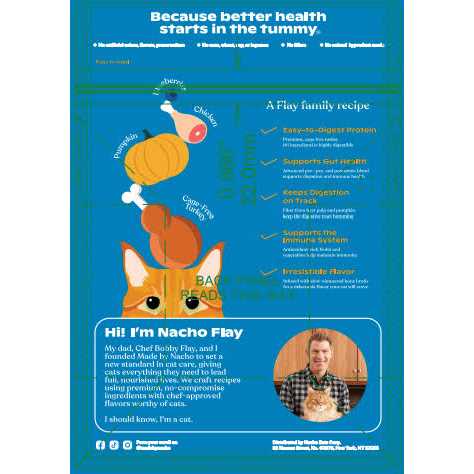 Cage-Free Turkey & Pumpkin Recipe Dry Cat Food A69317