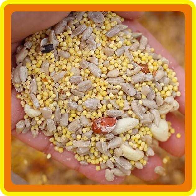 Zero-Waste Bird Food E4989