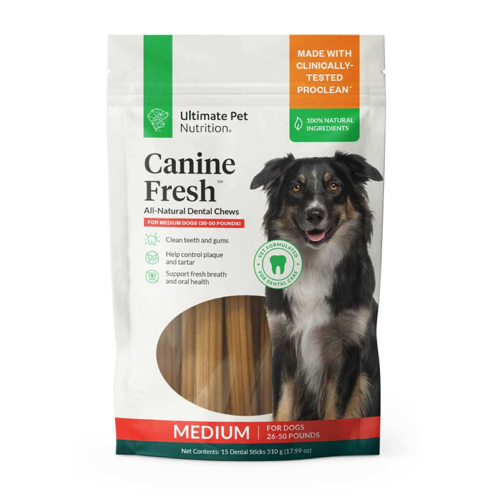 All Natural Canine Dental Chews Sticks V653153
