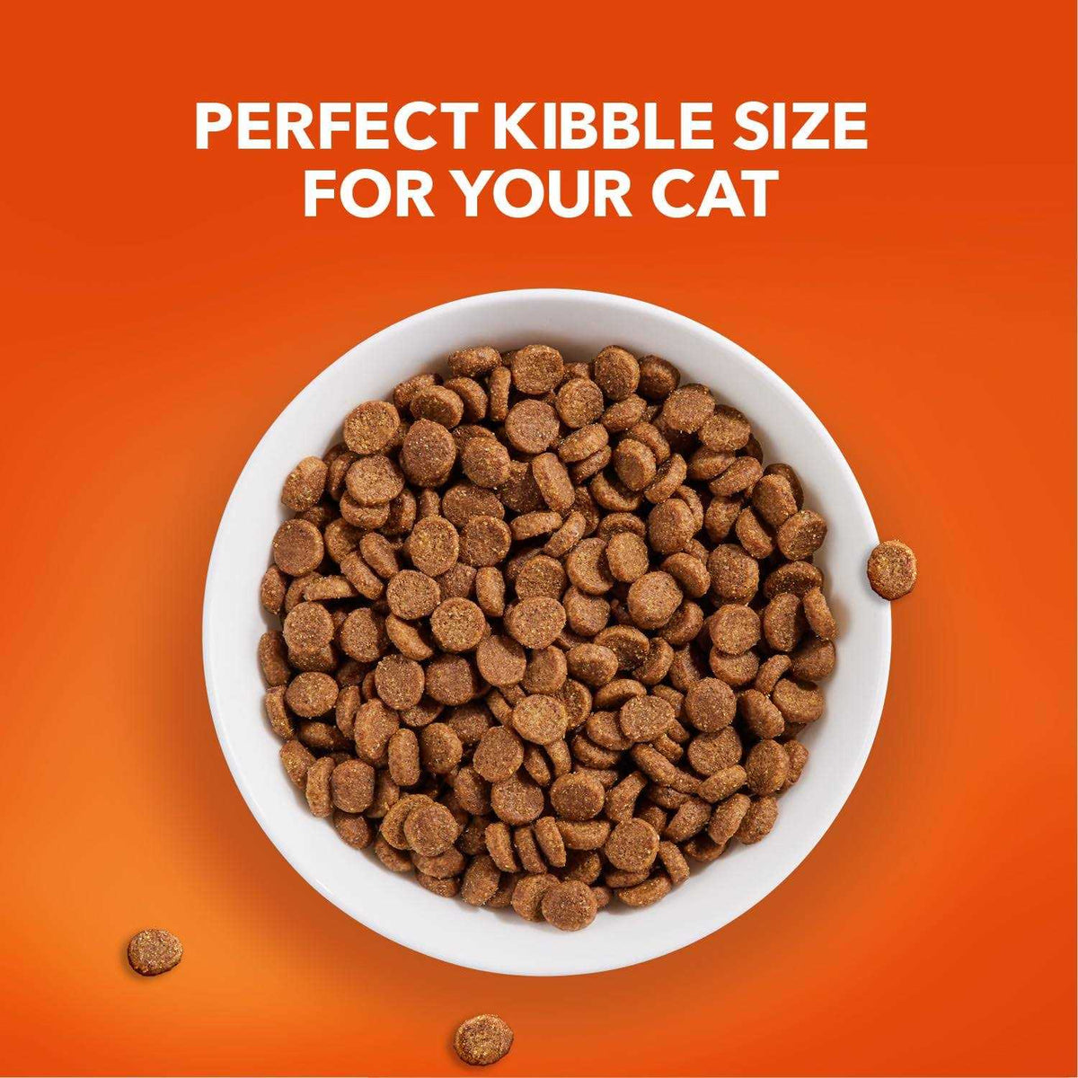 Senior Dry Cat Food Q577