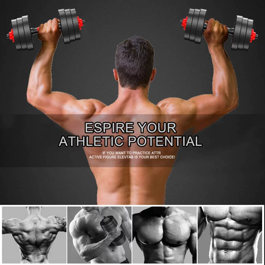 66 LBS Adjustable Dumbbell Set A9384